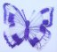 Nášivka Motýl - více barev - Barva: Modrá